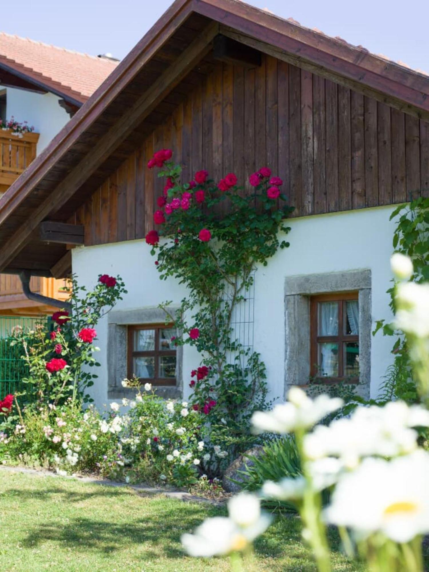 Country house 