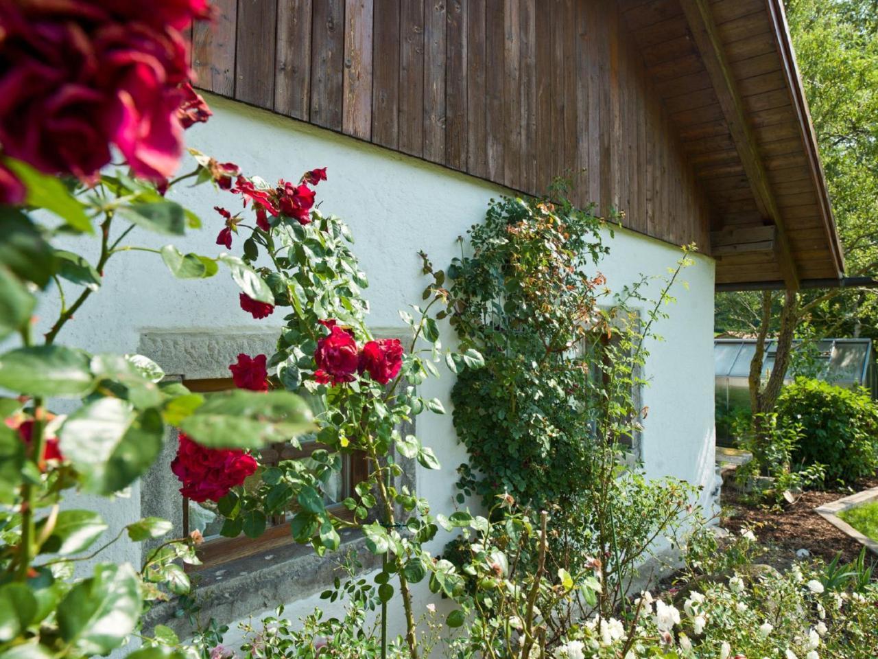 Country house 